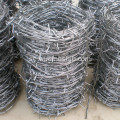 Galvaniserad Dubbel Strand Barbed Wire Vanlig Twist